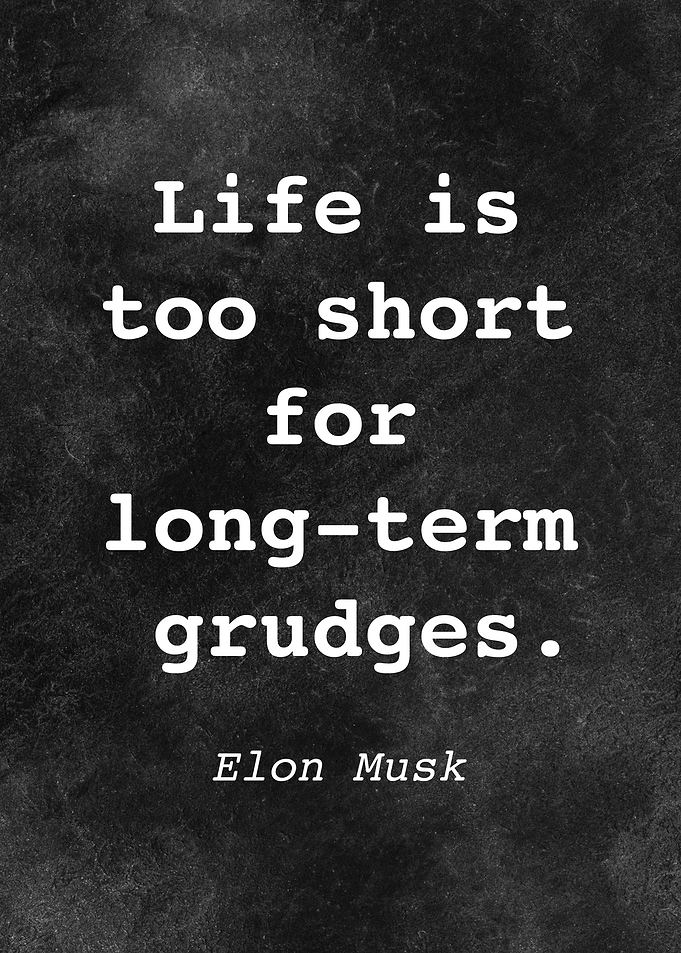 Elon Musk Quote D008
