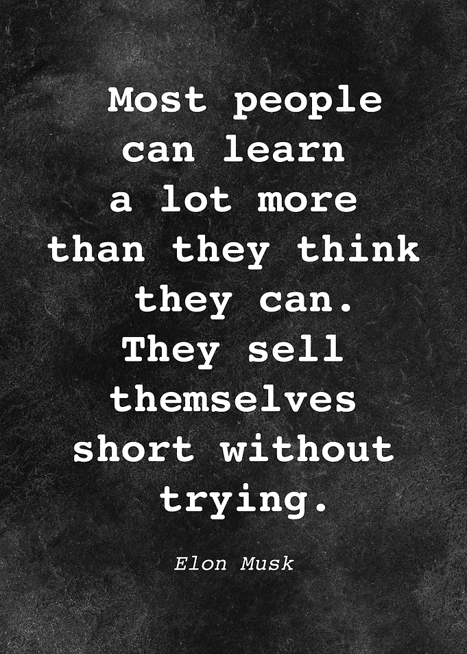 Elon Musk Quote D013
