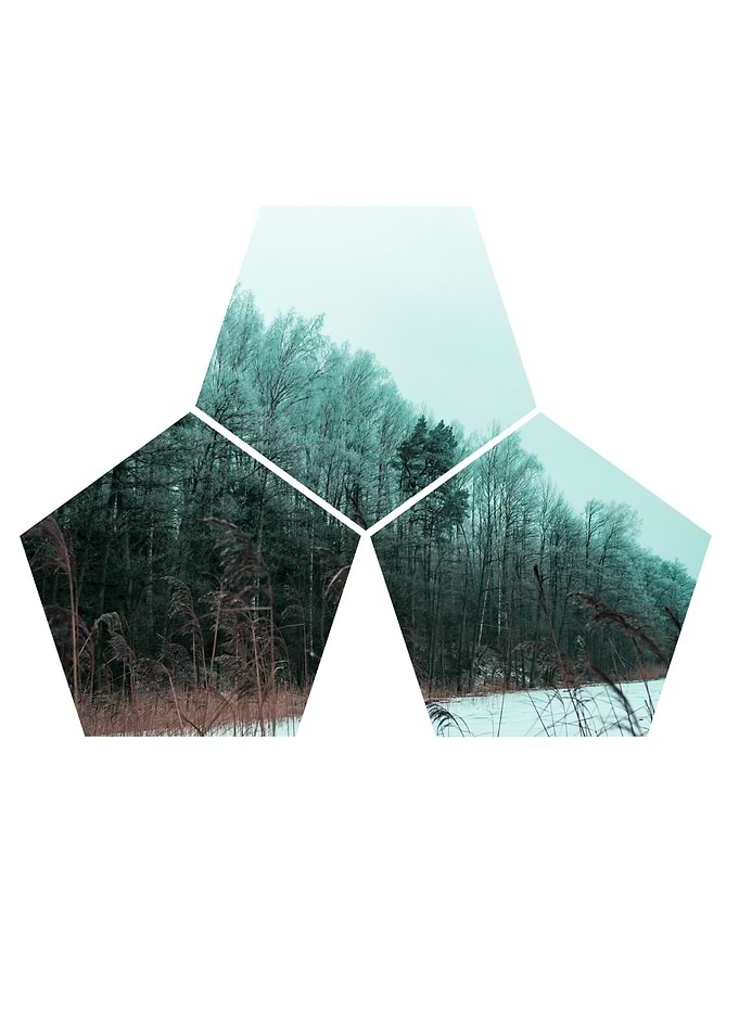 Green Forest Snow