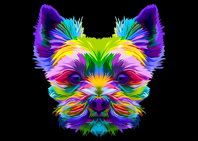 yorkshire terrier dog