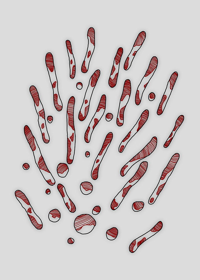 Cells