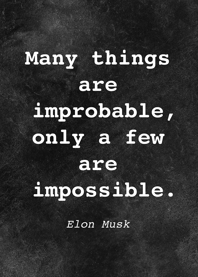 Elon Musk Quote D005