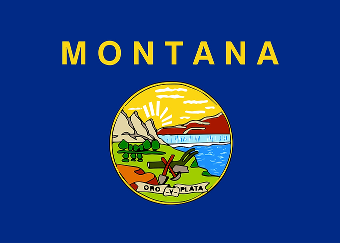 Montana State Flag