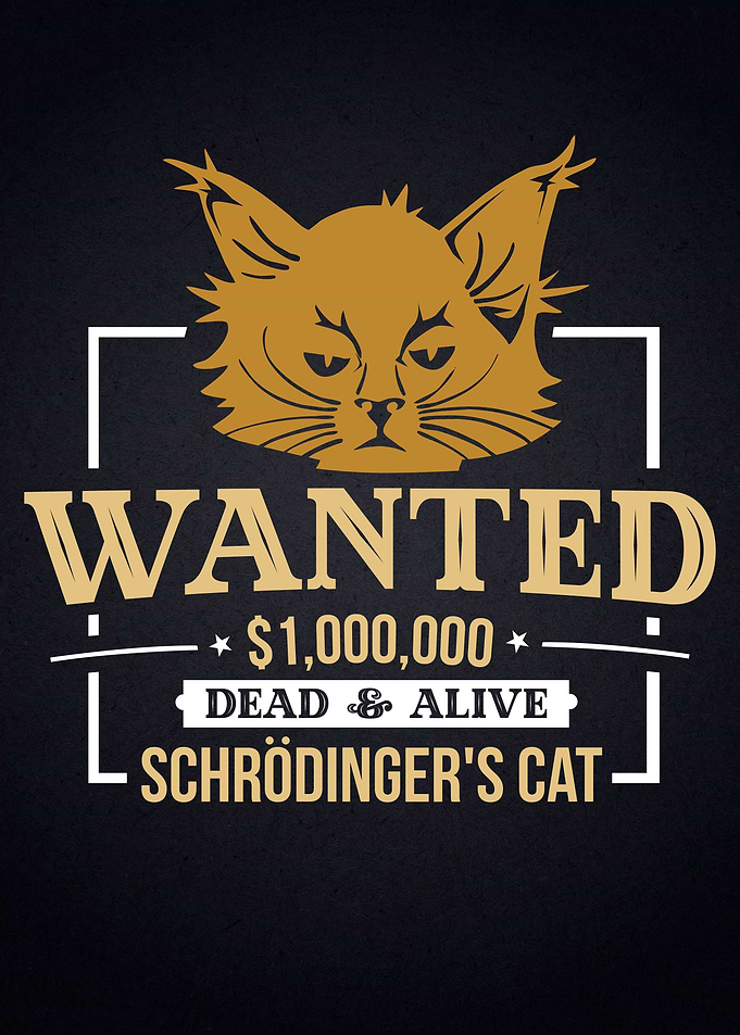 Physics Schroedinger Cat