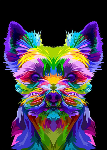 colorful yorkshire terrier
