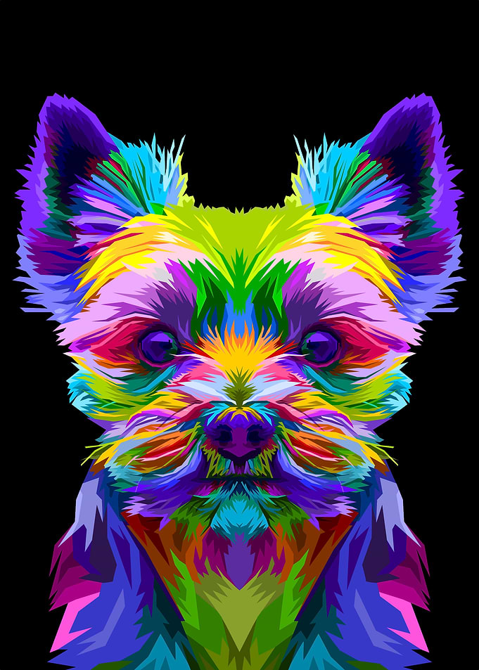 colorful yorkshire terrier