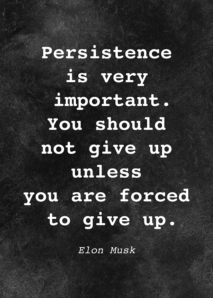 Elon Musk Quote D018