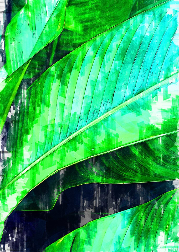 Palm Plant Leaves Abstract