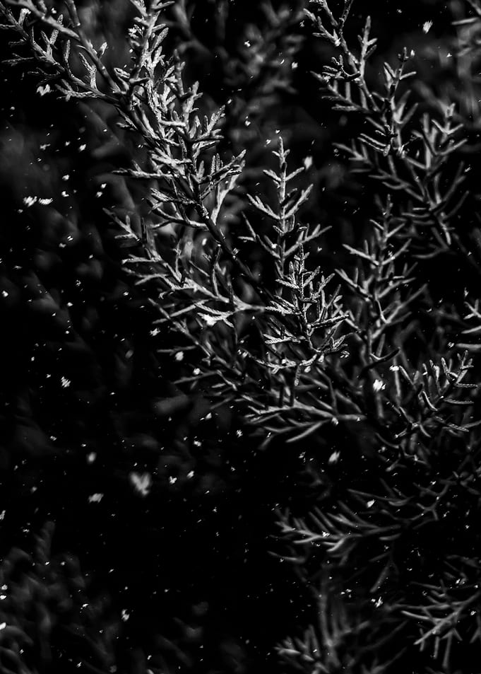 Weathering