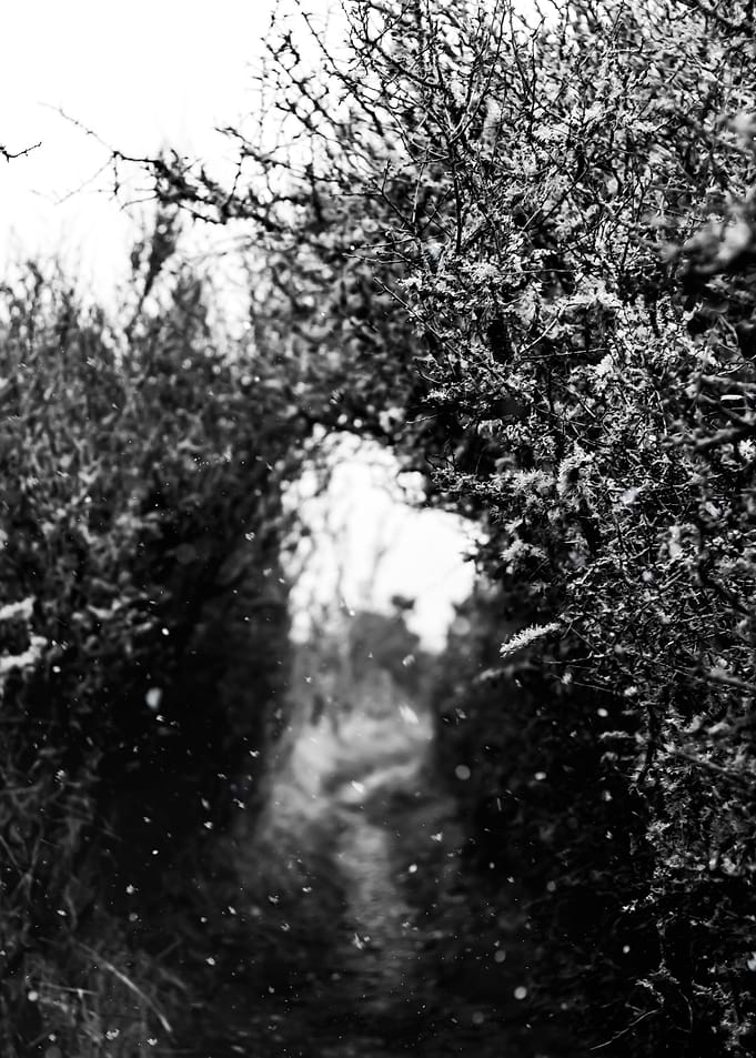 Gateway