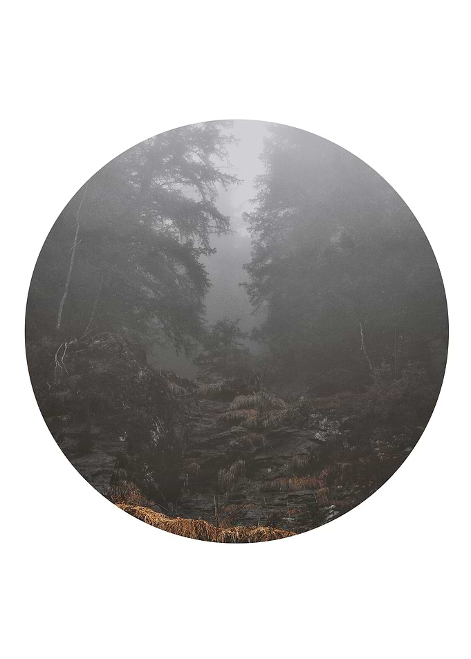 Foggy Morning Scandinavian
