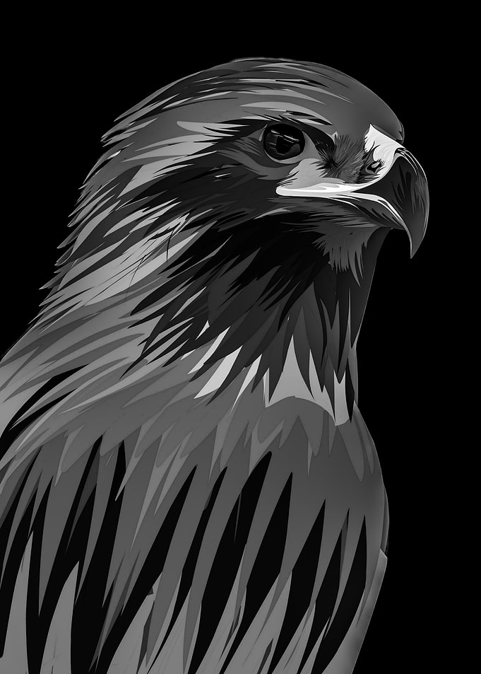 eagle grayscale