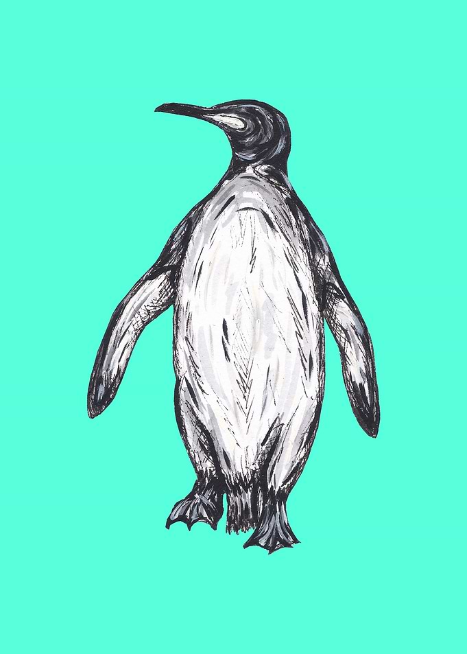 Penguin