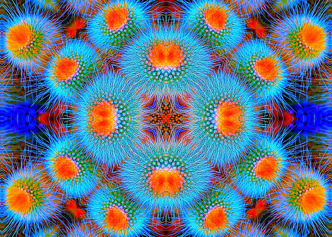 Cactus Plantation Hexagram