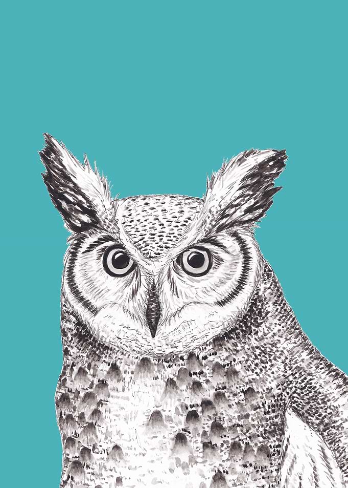 Great Horned Owl
