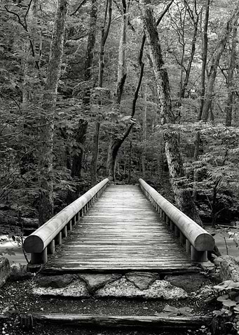 Bridge of hope