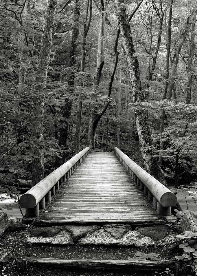 Bridge of hope