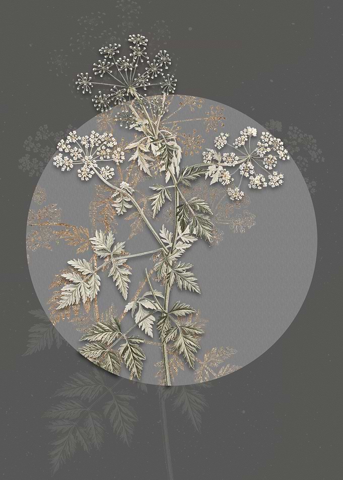Vintage Hemlock Flowers