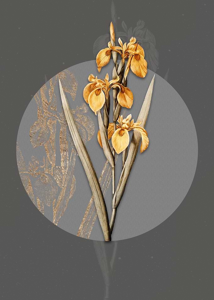 Vintage Irises Painting