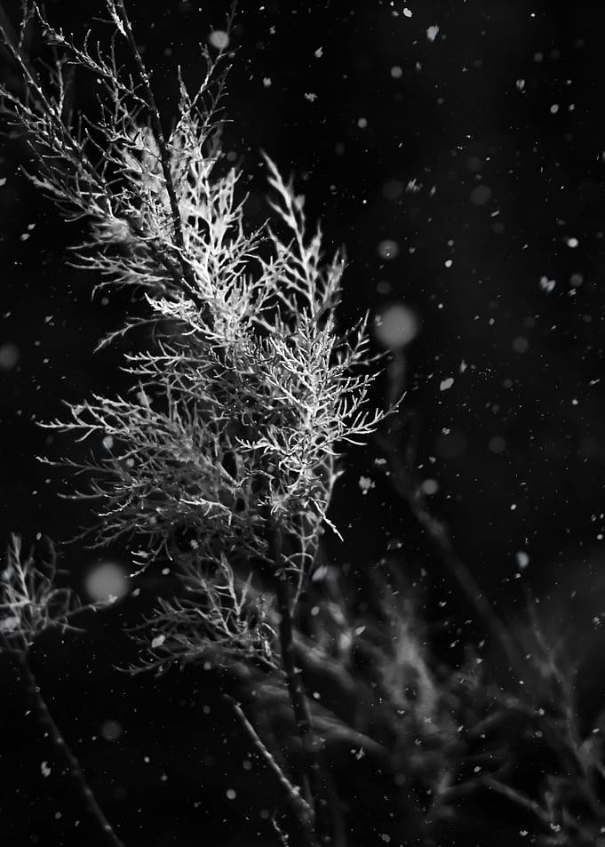 Forces of Nature