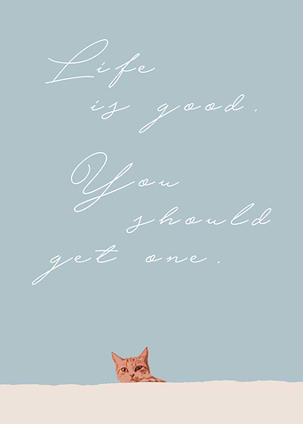 Funny Quote about Life