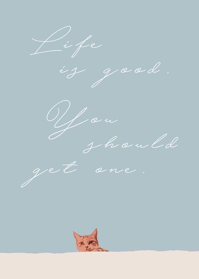 Funny Quote about Life