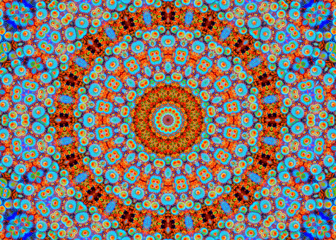 Psy Cactus Mandala 3