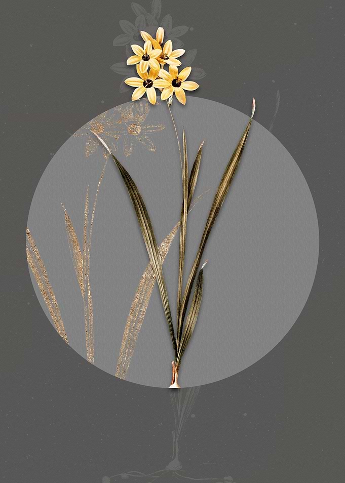 Vintage Ixia Fusco Citrina