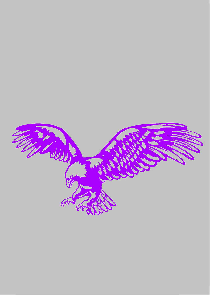 Fly like an eagle