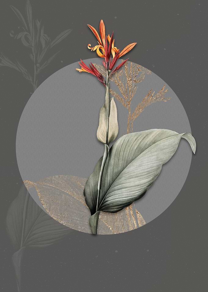Vintage Indian Shot Flower