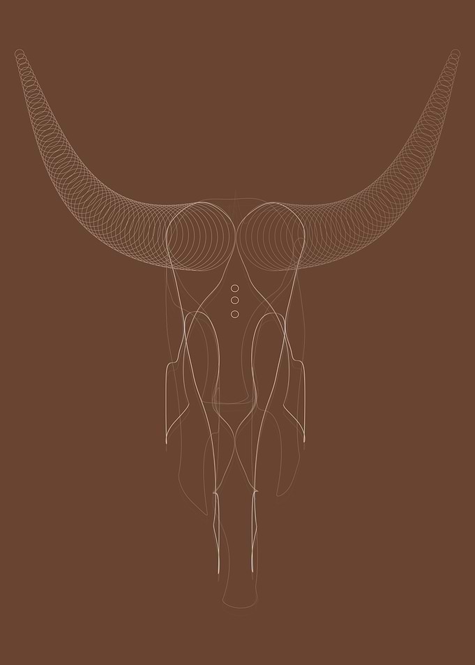 Buffalo lineart