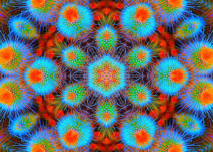 Quadratic Cactus Clump