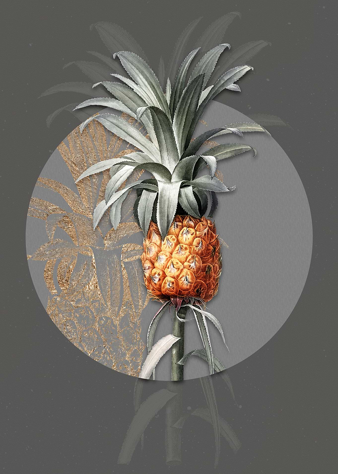 Vintage Pineapple Painting
