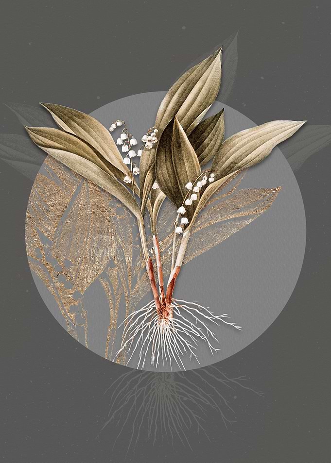 Vintage Lily of the Valley
