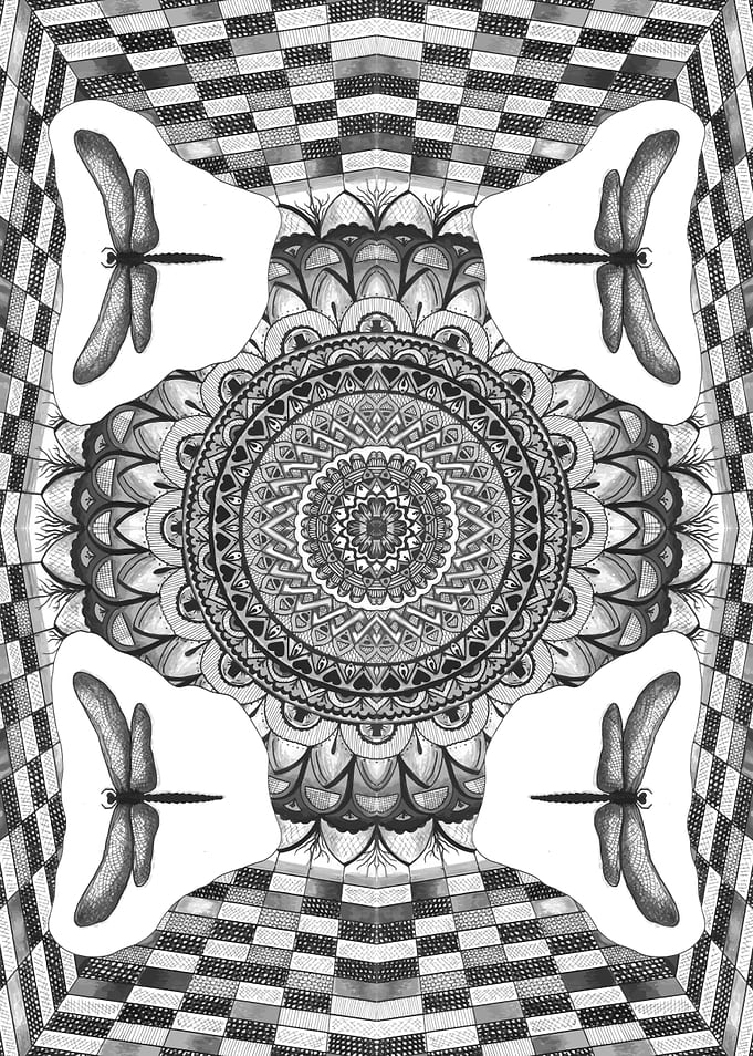 mirrored reflections