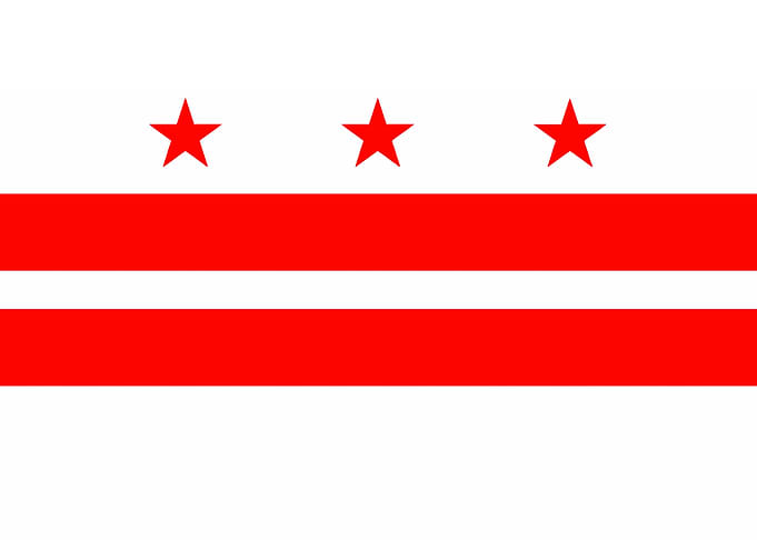 Washington DC State Flag