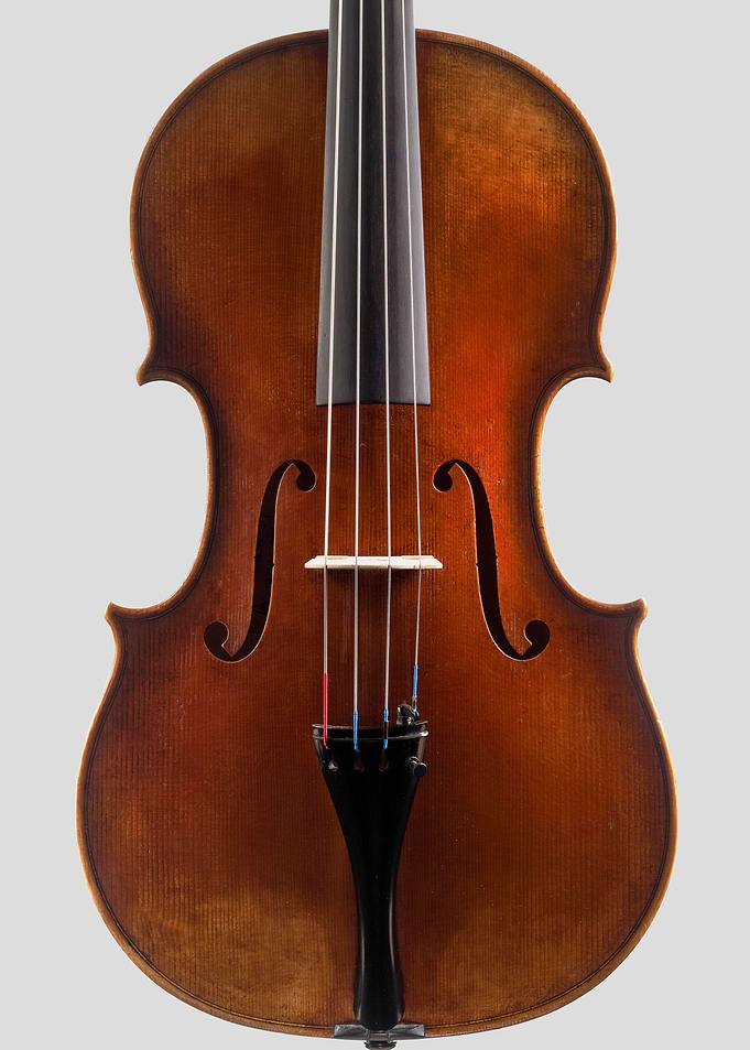 The Viola