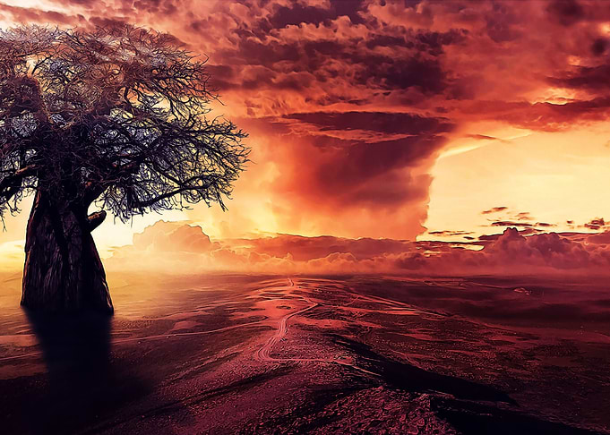 Baobab tree and huge storm