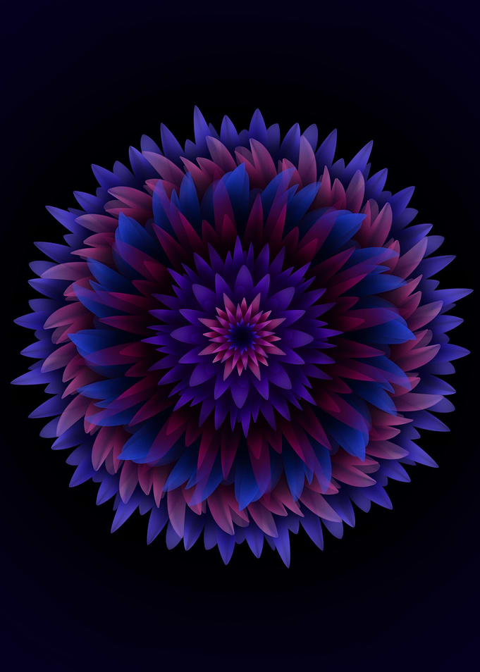 Feather Mandala