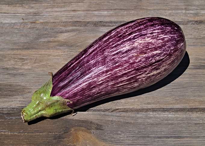 Purple Eggplant