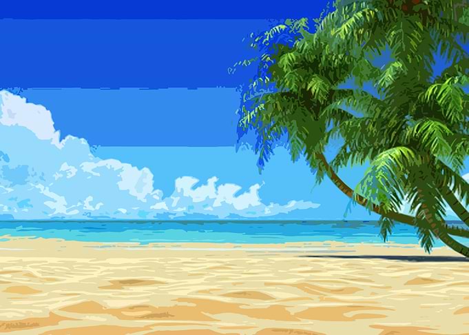 beach nature 1