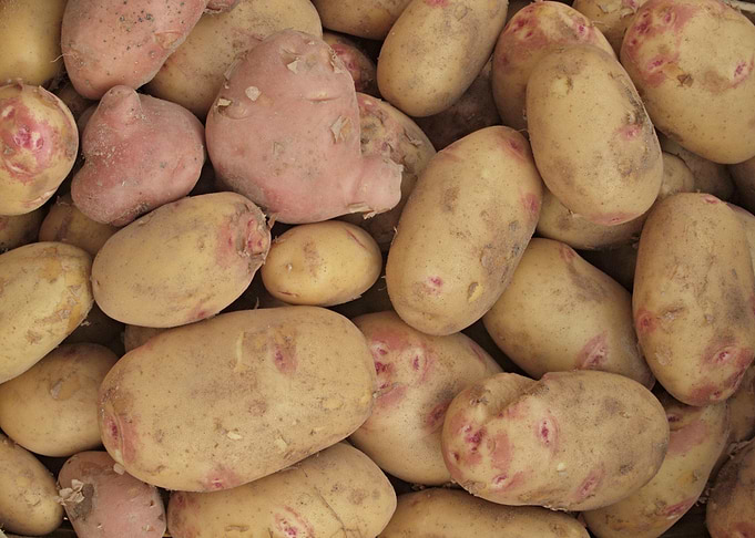 Potatoes on the market