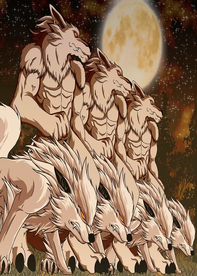 Welcome to Wolf Nation