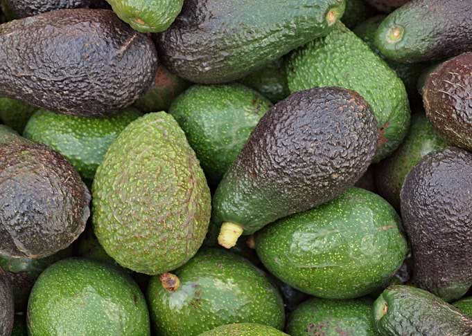 Avocados