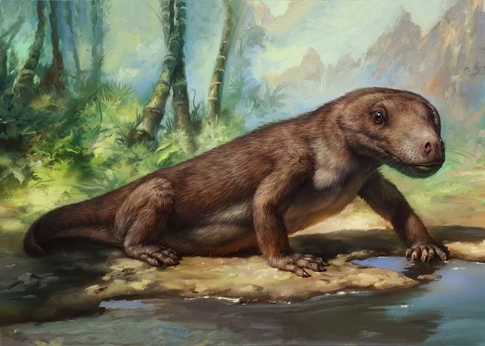 Bauria