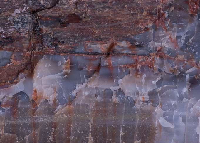 Petrified Wood