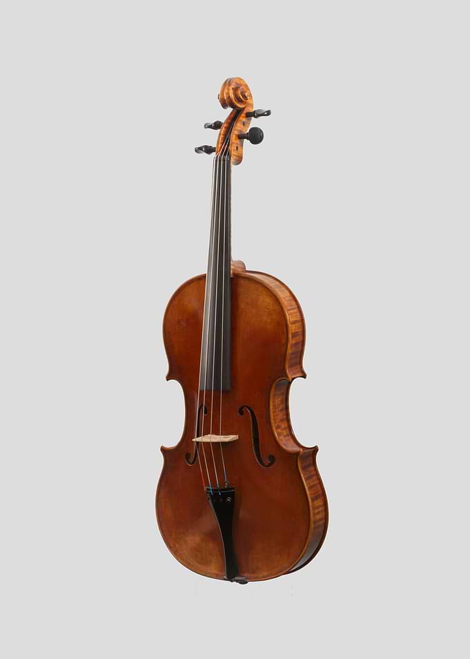 The Viola