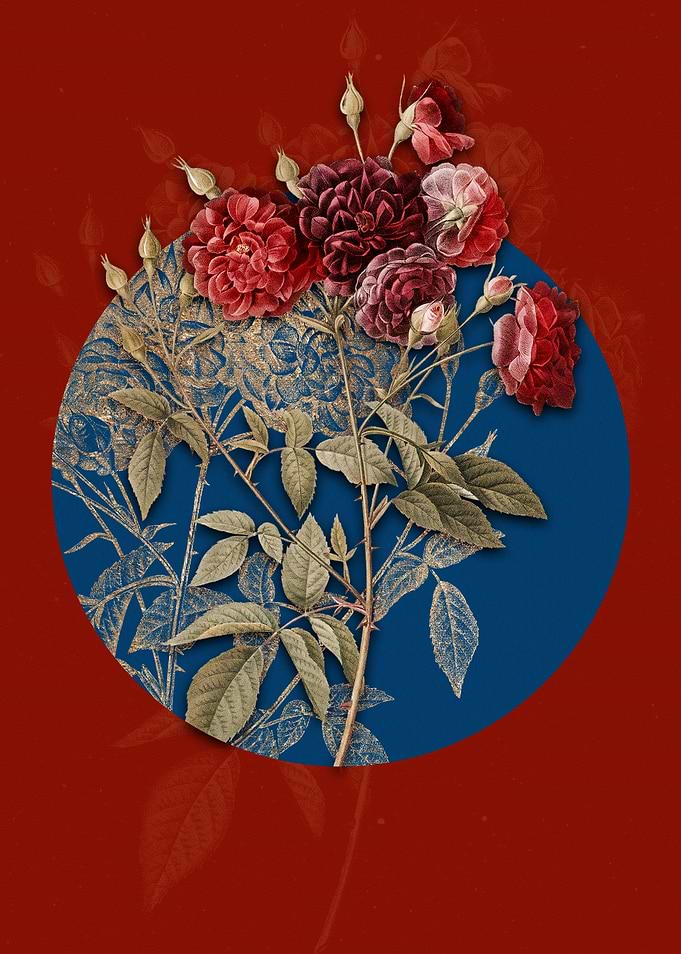 Ternaux Rose Bloom