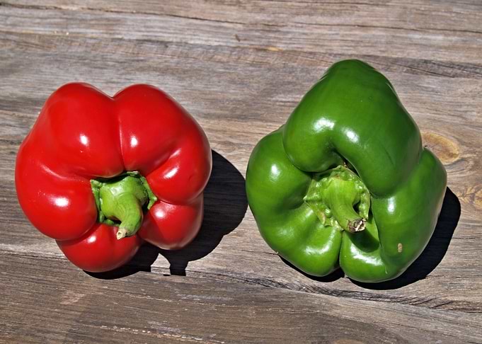 Red and green pepper