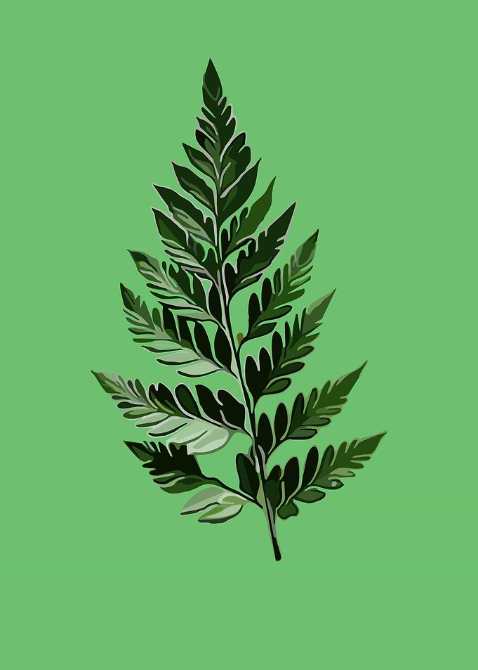 Leaves 1